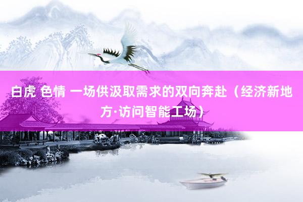 白虎 色情 一场供汲取需求的双向奔赴（经济新地方·访问智能工场）