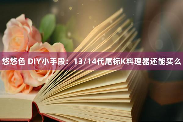 悠悠色 DIY小手段：13/14代尾标K料理器还能买么