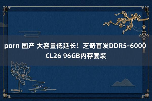 porn 国产 大容量低延长！芝奇首发DDR5-6000 CL26 96GB内存套装