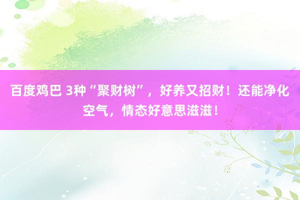 百度鸡巴 3种“聚财树”，好养又招财！还能净化空气，情态好意思滋滋！
