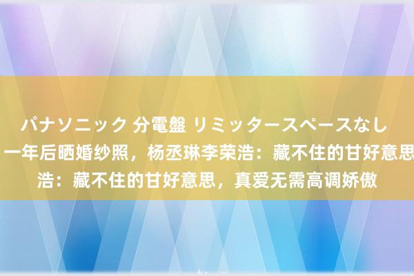 パナソニック 分電盤 リミッタースペースなし 露出・半埋込両用形 一年后晒婚纱照，杨丞琳李荣浩：藏不住的甘好意思，真爱无需高调娇傲