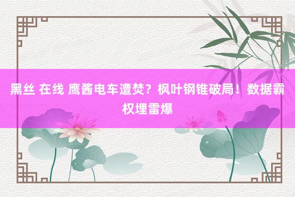 黑丝 在线 鹰酱电车遭焚？枫叶钢锥破局！数据霸权埋雷爆