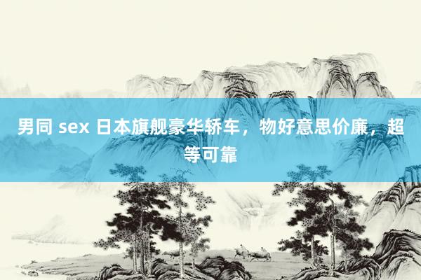 男同 sex 日本旗舰豪华轿车，物好意思价廉，超等可靠