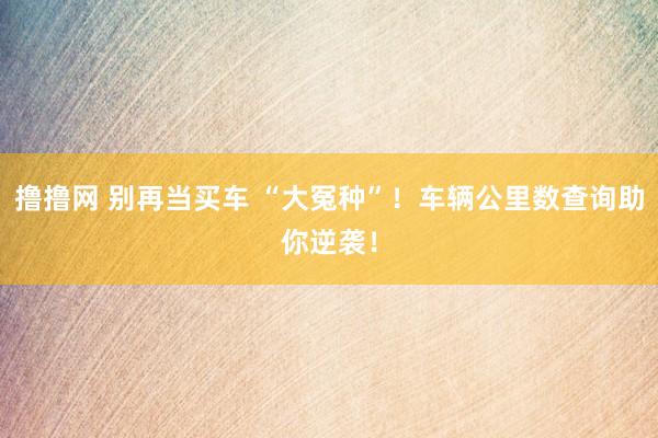 撸撸网 别再当买车 “大冤种”！车辆公里数查询助你逆袭！