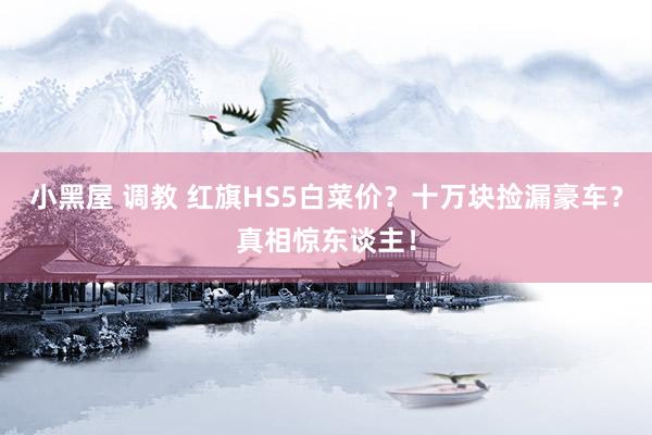 小黑屋 调教 红旗HS5白菜价？十万块捡漏豪车？真相惊东谈主！