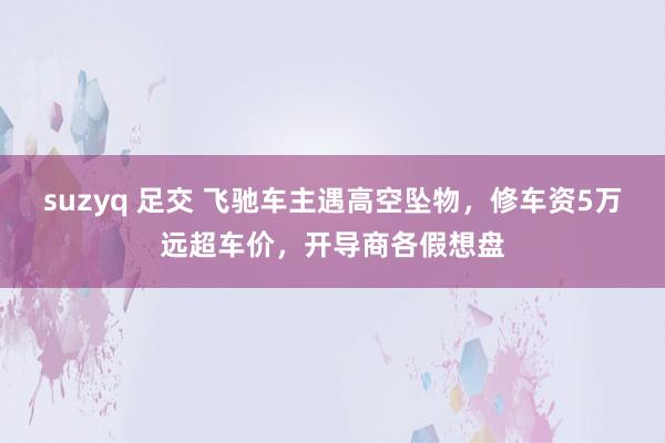 suzyq 足交 飞驰车主遇高空坠物，修车资5万远超车价，开导商各假想盘