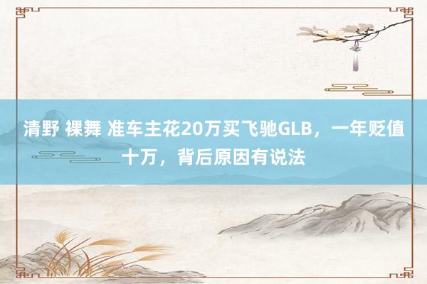 清野 裸舞 准车主花20万买飞驰GLB，一年贬值十万，背后原因有说法
