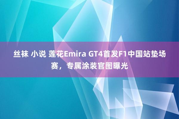丝袜 小说 莲花Emira GT4首发F1中国站垫场赛，专属涂装官图曝光