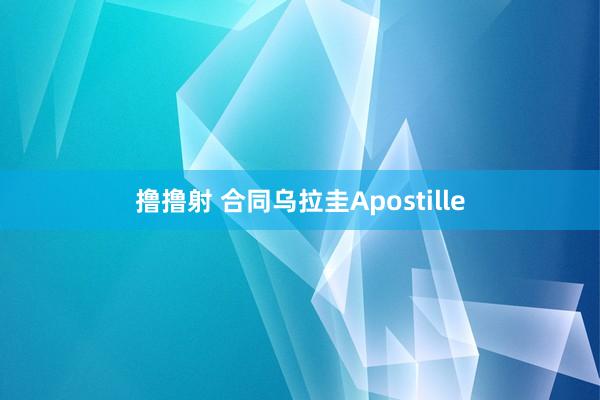 撸撸射 合同乌拉圭Apostille