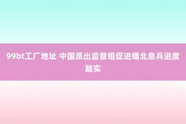 99bt工厂地址 中国派出监督组促进缅北息兵进度踏实