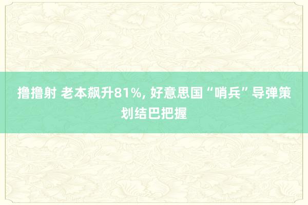 撸撸射 老本飙升81%, 好意思国“哨兵”导弹策划结巴把握