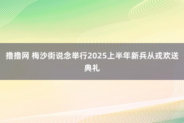 撸撸网 梅沙街说念举行2025上半年新兵从戎欢送典礼
