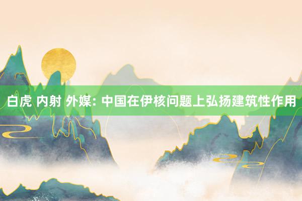 白虎 内射 外媒: 中国在伊核问题上弘扬建筑性作用