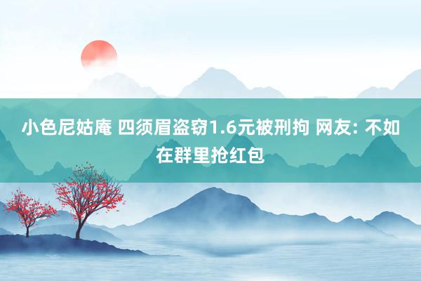 小色尼姑庵 四须眉盗窃1.6元被刑拘 网友: 不如在群里抢红包
