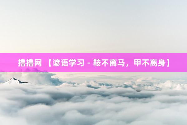 撸撸网 【谚语学习 - 鞍不离马，甲不离身】