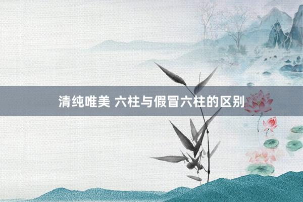 清纯唯美 六柱与假冒六柱的区别