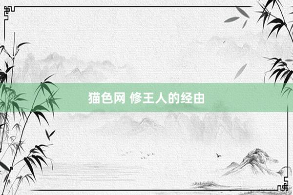 猫色网 修王人的经由