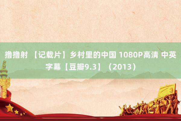 撸撸射 【记载片】乡村里的中国 1080P高清 中英字幕【豆瓣9.3】（2013）