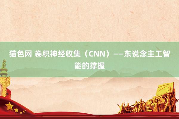 猫色网 卷积神经收集（CNN）——东说念主工智能的撑握